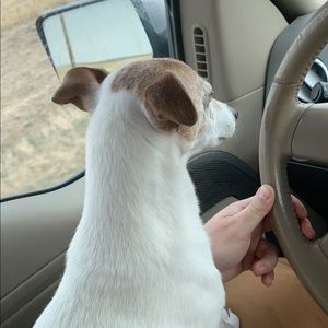 Meet your Posher, Ian